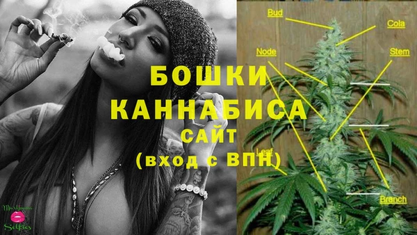 ПСИЛОЦИБИНОВЫЕ ГРИБЫ Абаза