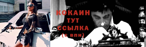 ПСИЛОЦИБИНОВЫЕ ГРИБЫ Абаза