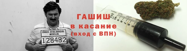 ПСИЛОЦИБИНОВЫЕ ГРИБЫ Абаза