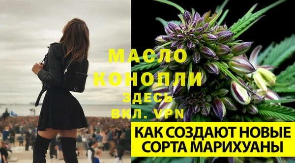 ПСИЛОЦИБИНОВЫЕ ГРИБЫ Абаза