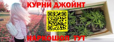 амф Кингисепп