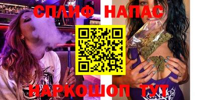 амф Кингисепп