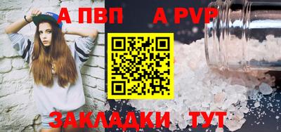 амф Кингисепп
