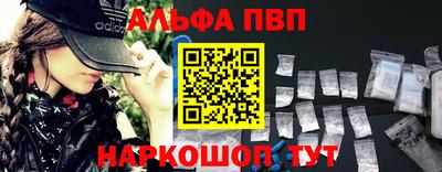 амф Кингисепп