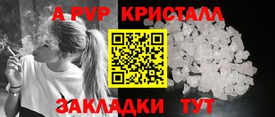 амф Кингисепп