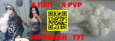амф Кингисепп