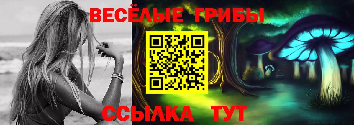 Ханты-Мансийск  Галлюциногенные грибы GOLDEN TEACHER  Вход с VPN 